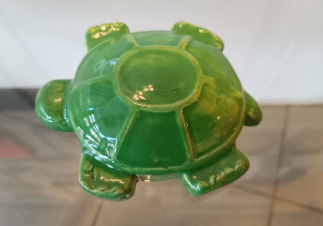 Ingrid Davids, Zandvorm schildpad
