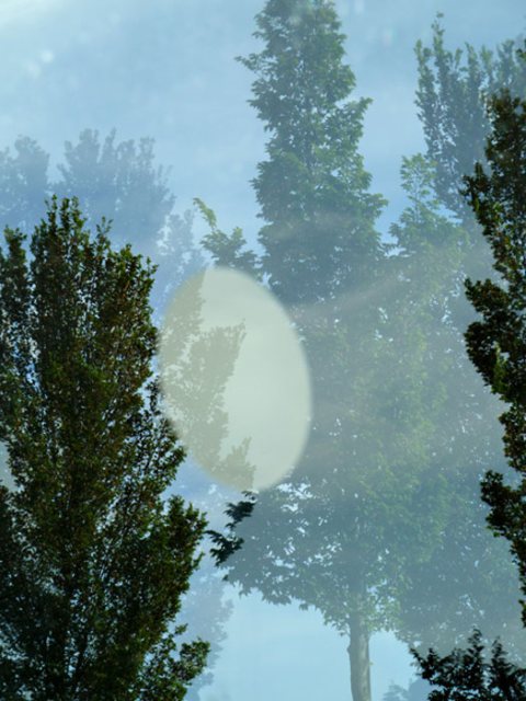Danielle van Hilten, Moon over moon 3